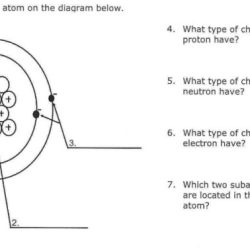 The diagram below shows some subatomic particles