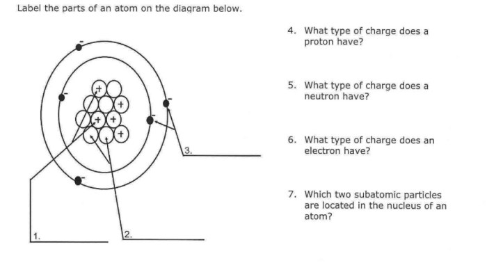 The diagram below shows some subatomic particles