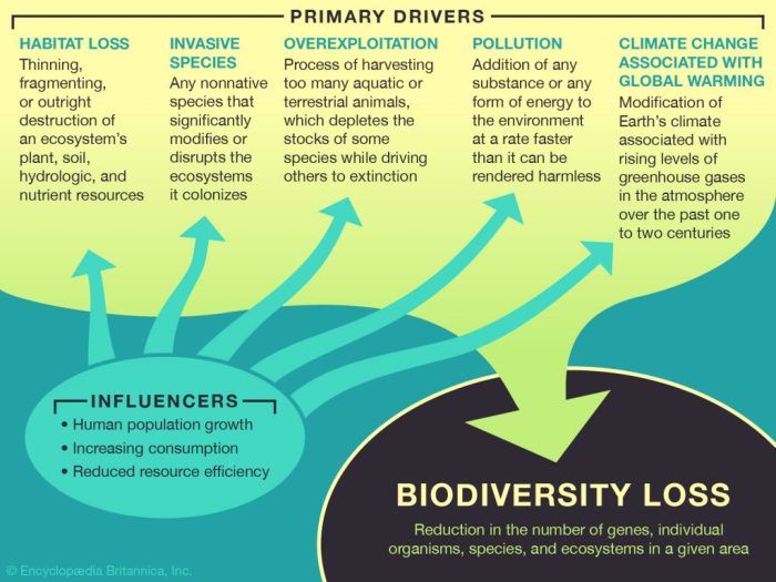 How water loss affects biodiversity readworks answer key