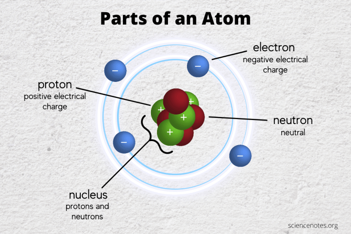 The diagram below shows some subatomic particles