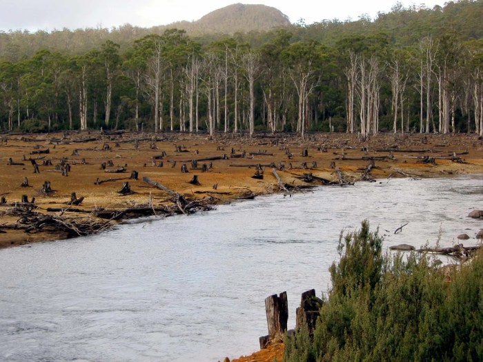 How water loss affects biodiversity readworks answer key