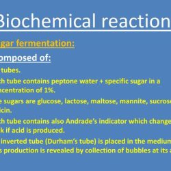 Age smart has been developed to impact the biochemical reactions