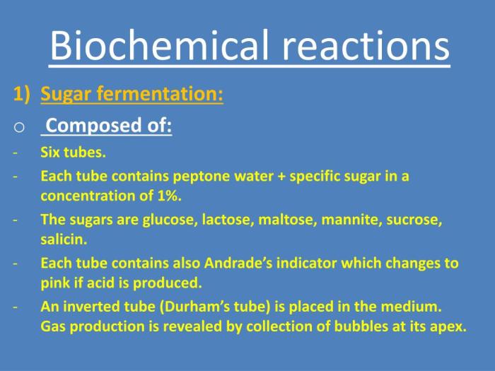 Age smart has been developed to impact the biochemical reactions