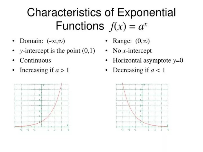 Characteristics of exponential functions worksheet