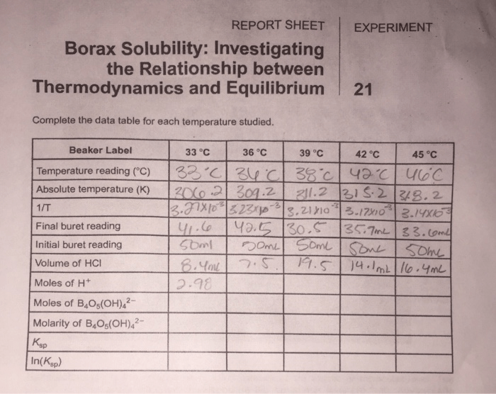 Thermodynamics of borax dissolution lab report